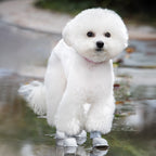 Chaussures de pluie souples imperméables légères antidérapantes pour chien extérieur