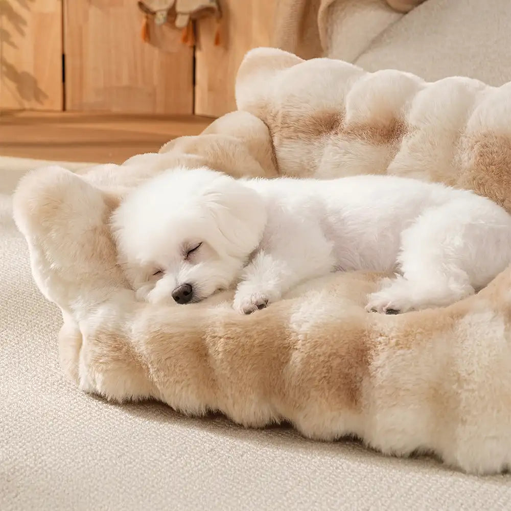 Sofa lit pour chien et chat en peluche floconneuse tie-dye confortable