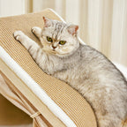 Tente pour chat tout-en-un avec toit griffoir et espace de couchage confortable