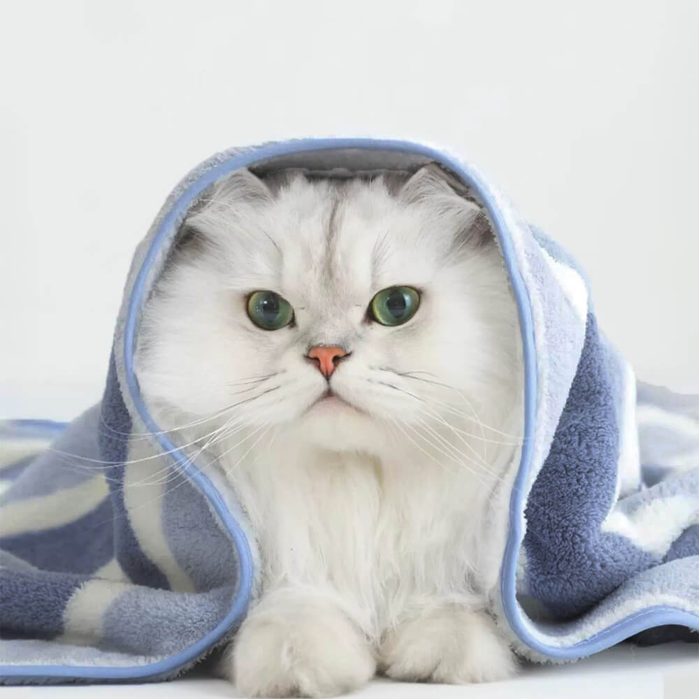 Serviette de bain rayée pour chien et chat absorbante à séchage rapide épaissie et douce