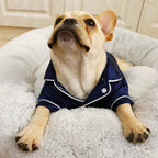 Pyjama fin et confortable anti-poils assorti pour chien et propriétaire