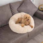 Lit pour Chien - Rond Douillet