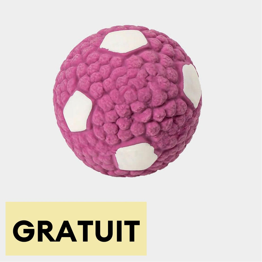 Jouet balle en latex pour chien durable interactif avec bruit-Exclusif app