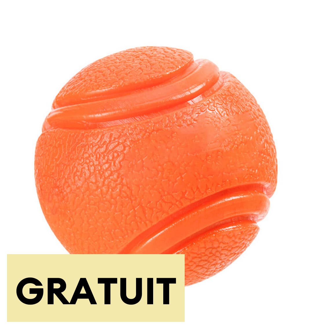 Jouet balle élastique flottante pour chien avec couineur-Exclusif app