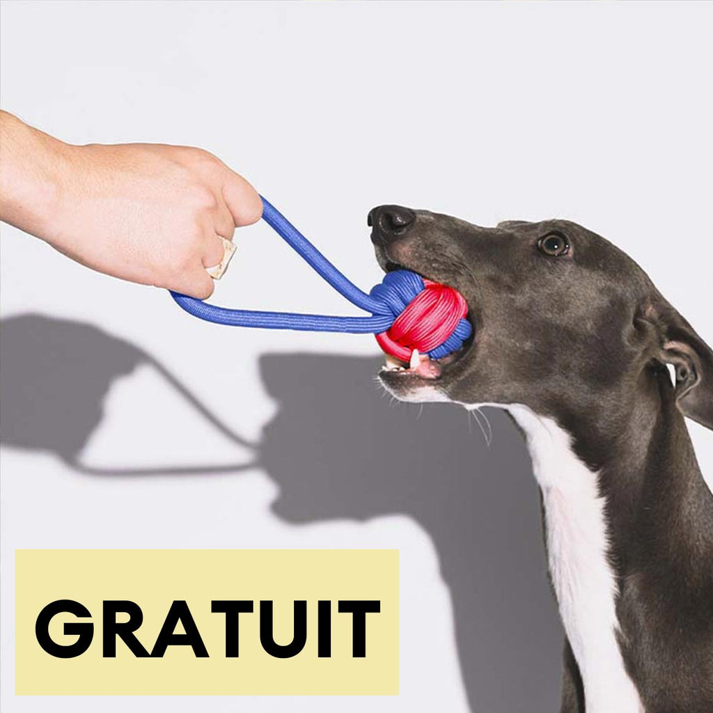 Jouet à tirer en corde pour chien couleurs contrastées-Exclusif app