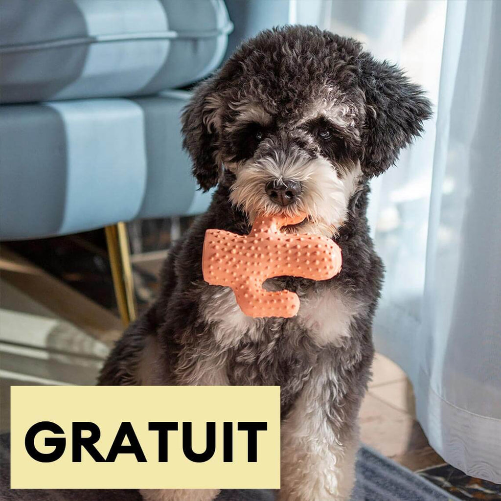 Jouet grinçant pour chien forme cactus-Exclusif app