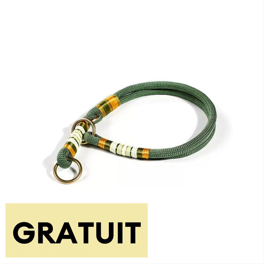 Collier de dressage pour chien en corde tressée main-Exclusif app