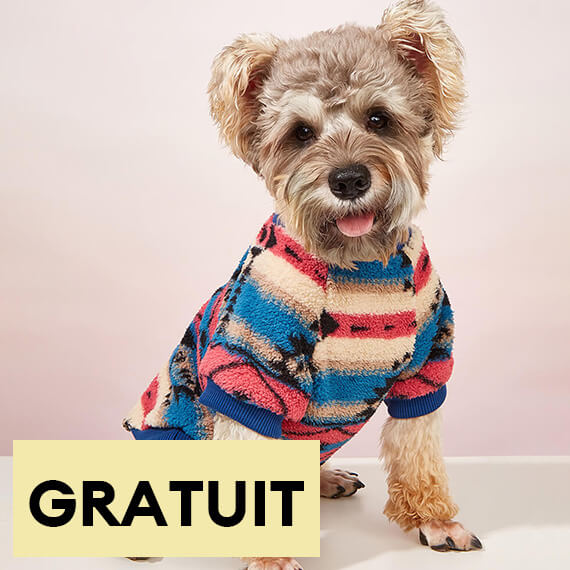 Pull rayé coloré pour chien vêtement d’hiver confortable et tendance-Exclusif app