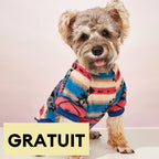 Pull rayé coloré pour chien vêtement d’hiver confortable et tendance-Exclusif app