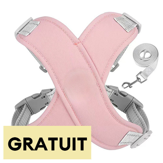 Harnais pour chien avec laisse respirant et sécurisé-Exclusif app
