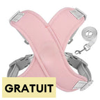 Harnais pour chien avec laisse respirant et sécurisé-Exclusif app