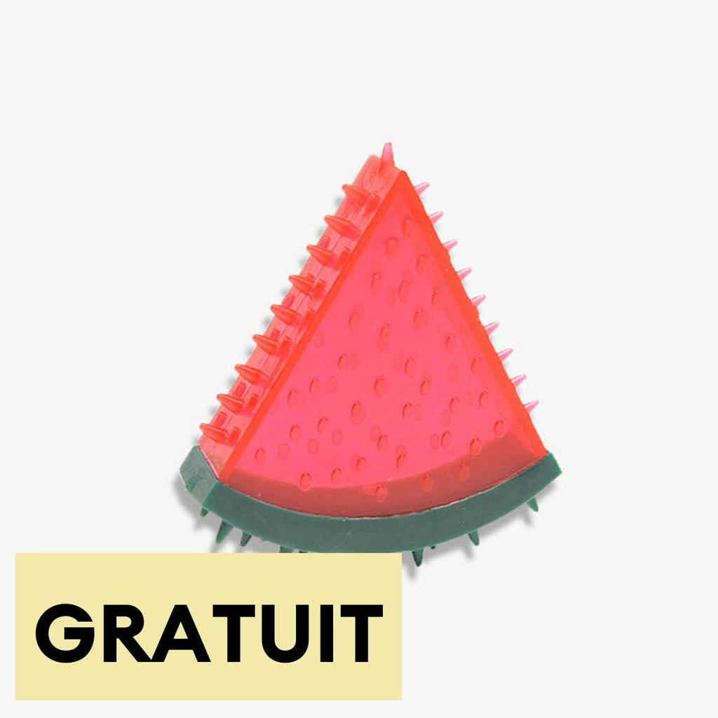 Jouet à mâcher en caoutchouc rempli d’eau forme fruit gelé pour chiens-Exclusif app