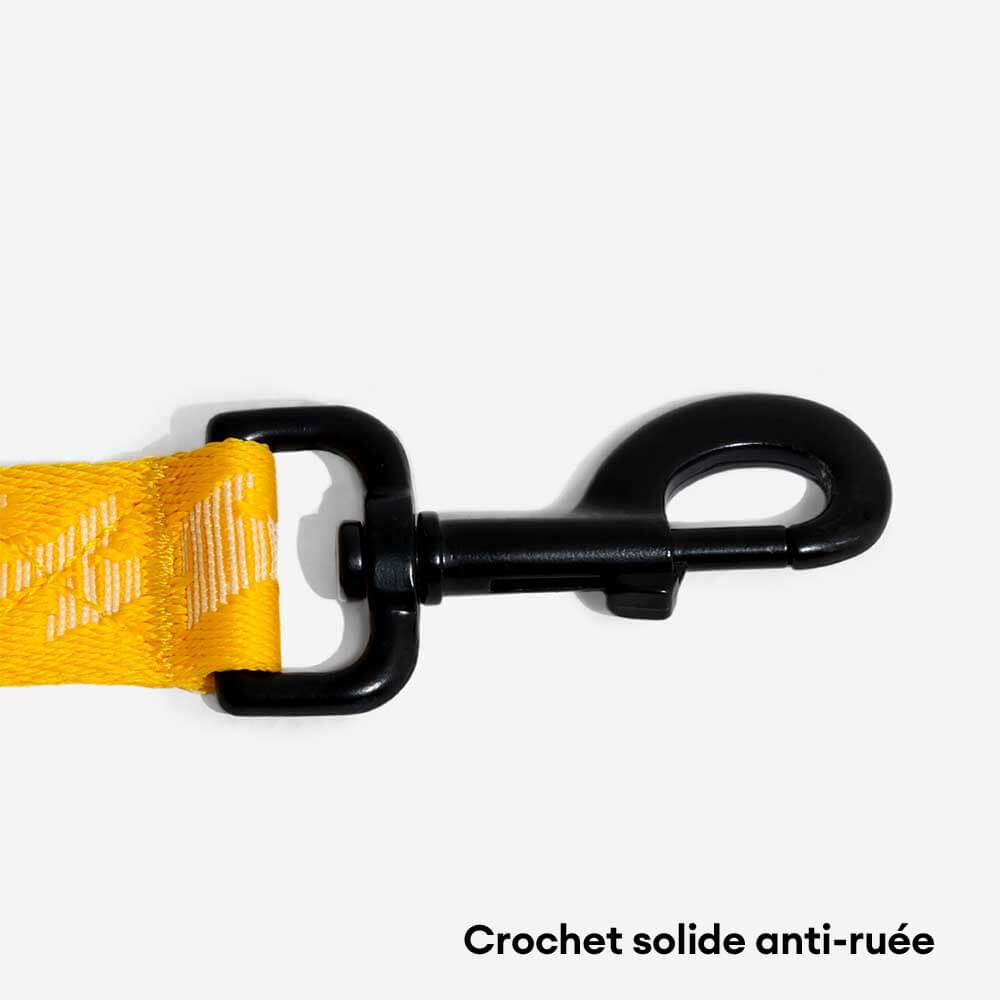 Laisse pour chien grande taille nylon réfléchissante réglable polyvalente avec poignée souple - Flexi Walker