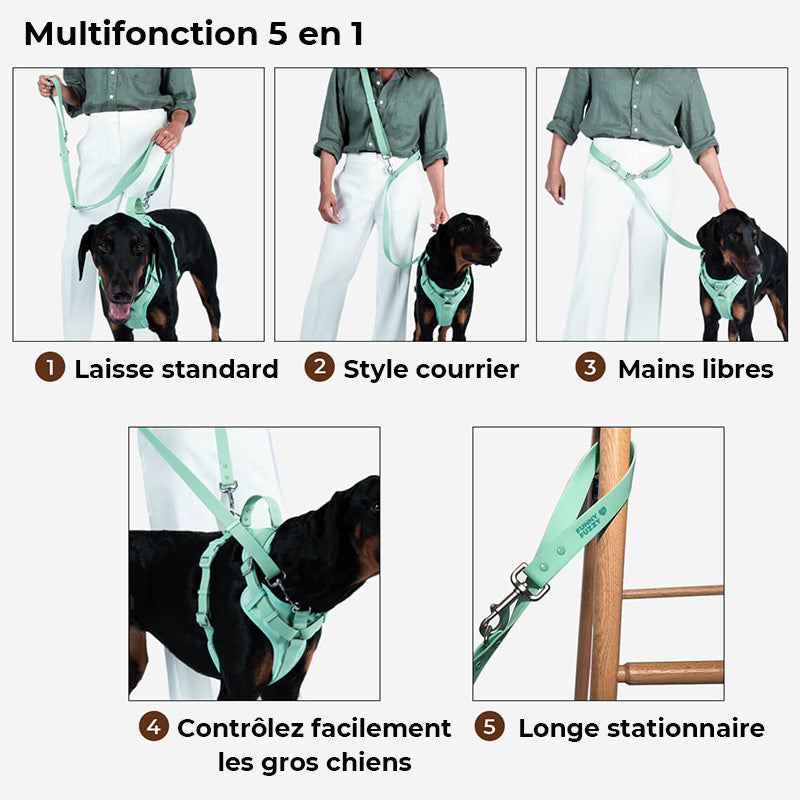 Laisse pour chien en caoutchouc-Exclusif app-Exclusif app