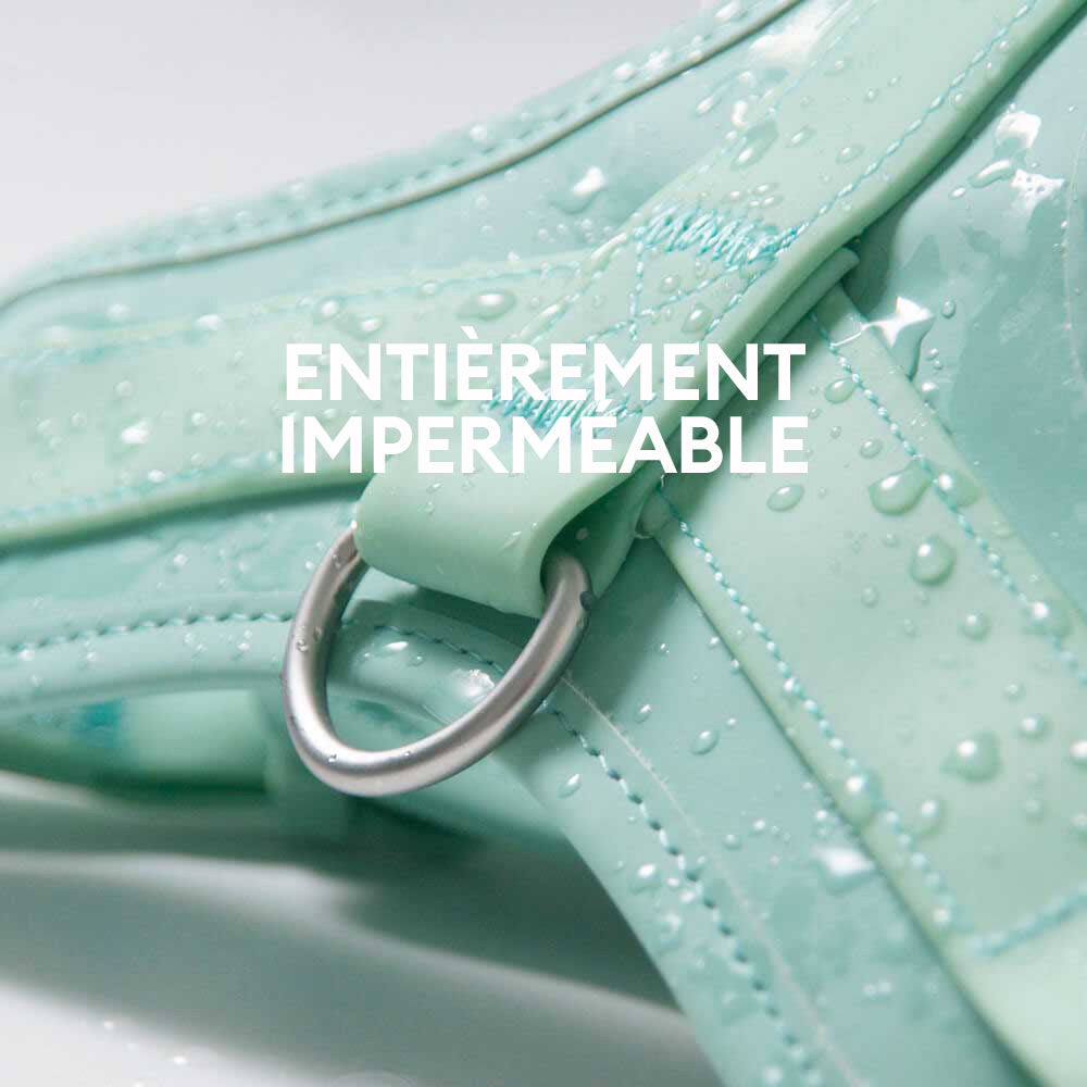 Harnais pour chien Gummy-Exclusif app