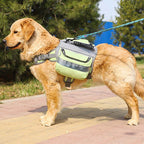 Harnais Tactique Autonome pour Chiens Grands