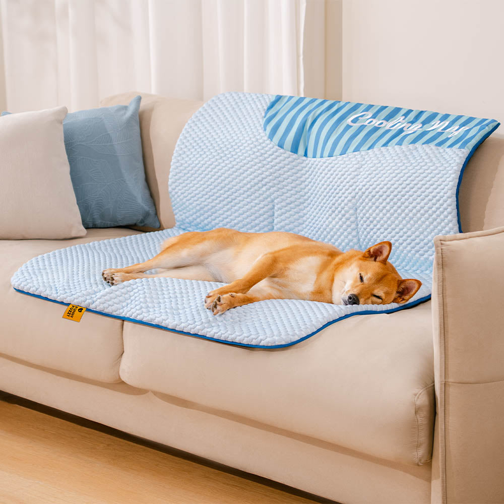 Tapis pour chien grande taille lavable rafraîchissant et antidérapant - Sieste rafraîchissante