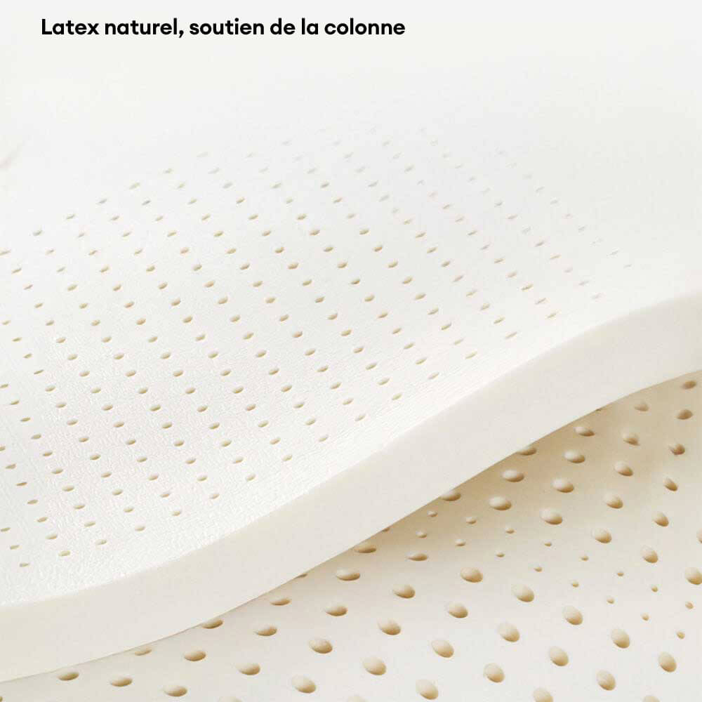 Canapé-lit de luxe en latex naturel pour chien et chat anti-rayures