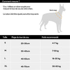 Collier pour chien réglable en nylon durable FUNNYFUZZY - Flexi Walker