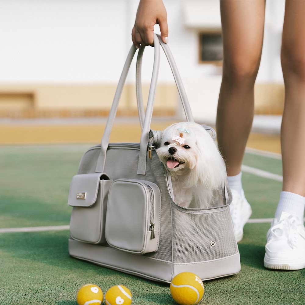 Sac de transport pour animaux léger et respirant en maille - Urban Ease