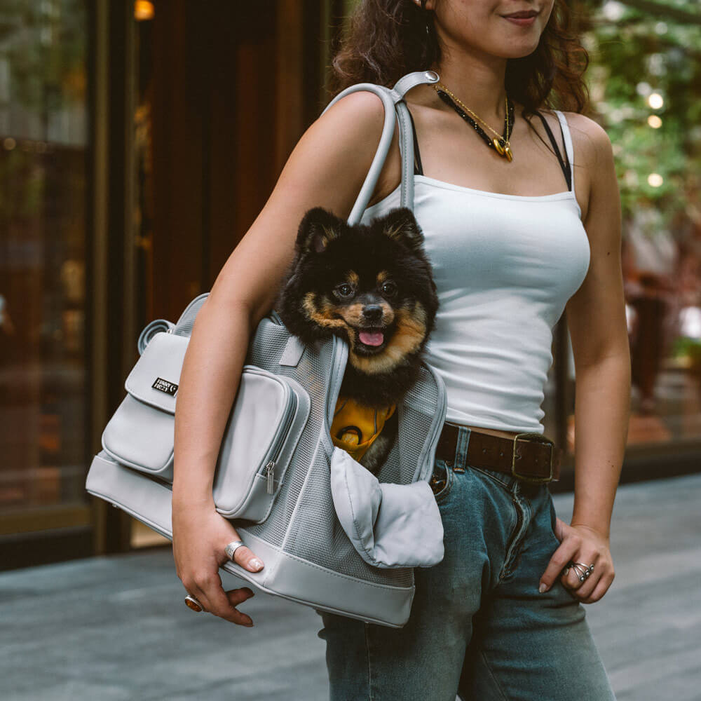 Sac de transport pour animaux léger et respirant en maille - Urban Ease