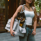 Sac de transport pour animaux léger et respirant en maille - Urban Ease