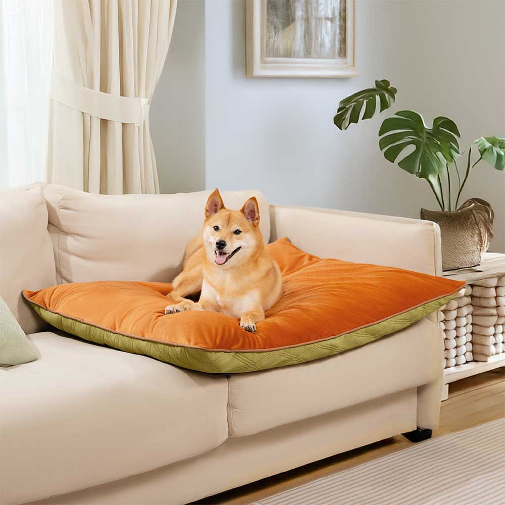 Tapis réversible apaisant imperméable pour chien de luxe
