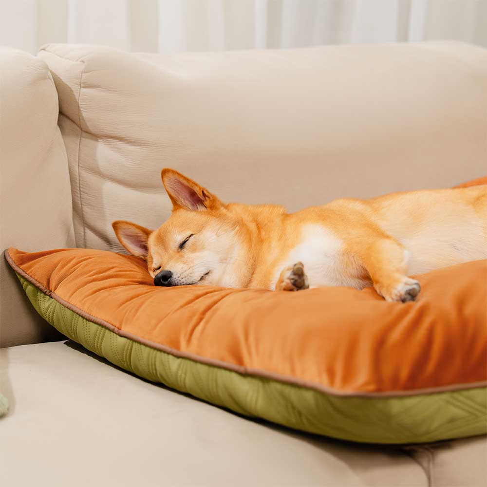 Tapis réversible apaisant imperméable pour chien de luxe