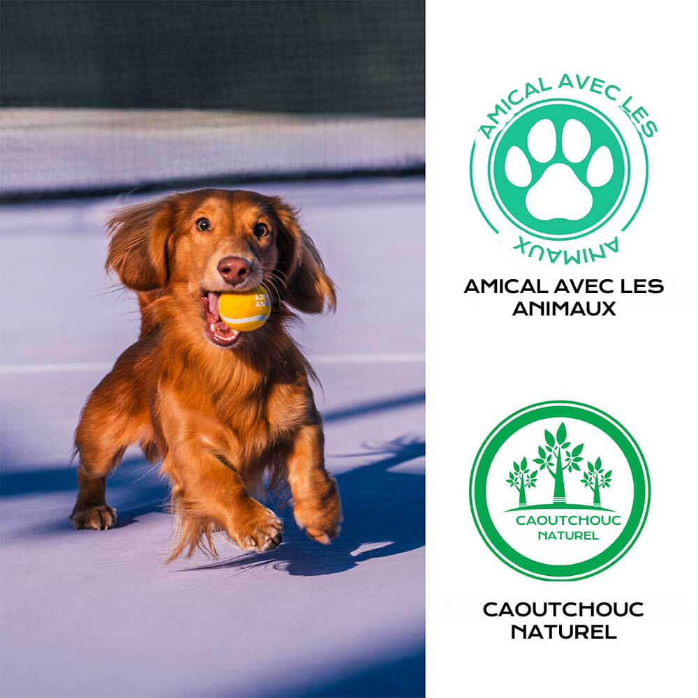 Jouet pour chien balle de tennis FUNNYFUZZY avec couineur et effet rebond