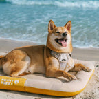 Tapis orthopédique imperméable et résistant aux rayures pour chien motif coloris block - Trek Lounge