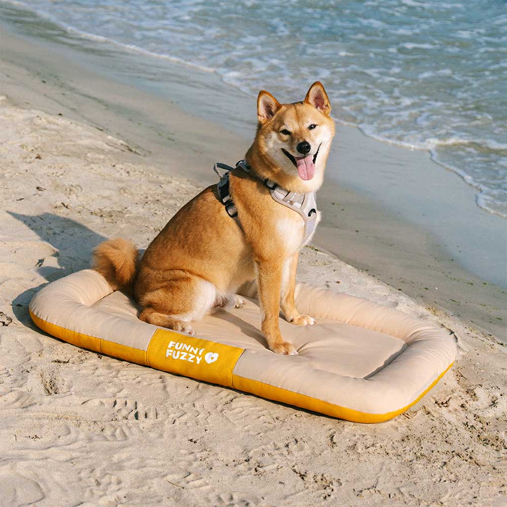 Tapis orthopédique imperméable et résistant aux rayures pour chien motif coloris block - Trek Lounge