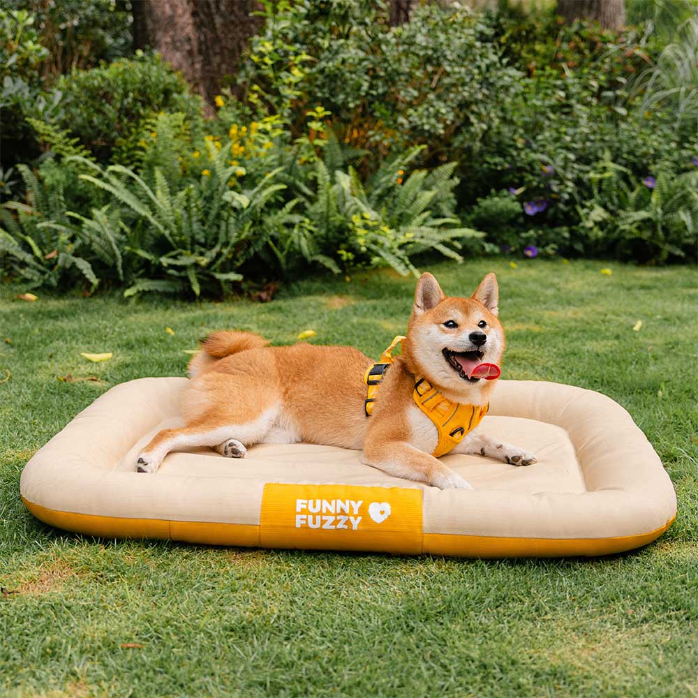 Tapis orthopédique imperméable et résistant aux rayures pour chien motif coloris block - Trek Lounge