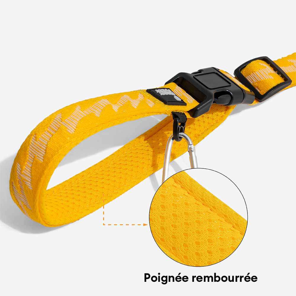 Laisse pour chien grande taille nylon réfléchissante réglable polyvalente avec poignée souple - Flexi Walker