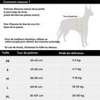 Harnais réfléchissant réglable pour chien FUNNYFUZZY - Flexi Walker