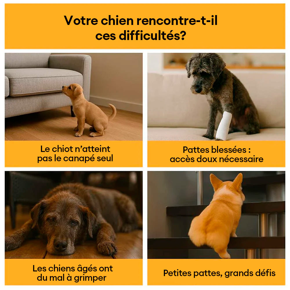 Rampe pour animaux en peluche à carreaux mousse haute densité amovible - ComfyClimb