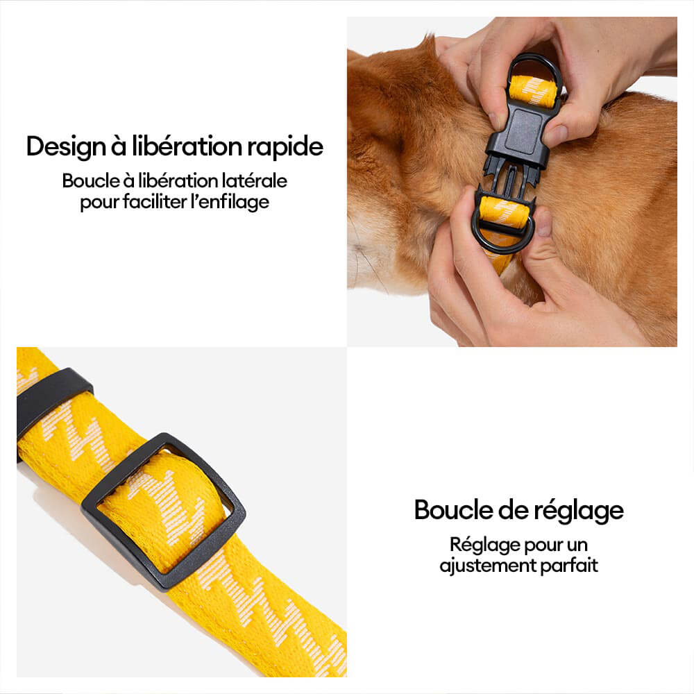 Collier pour chien réglable en nylon durable FUNNYFUZZY - Flexi Walker