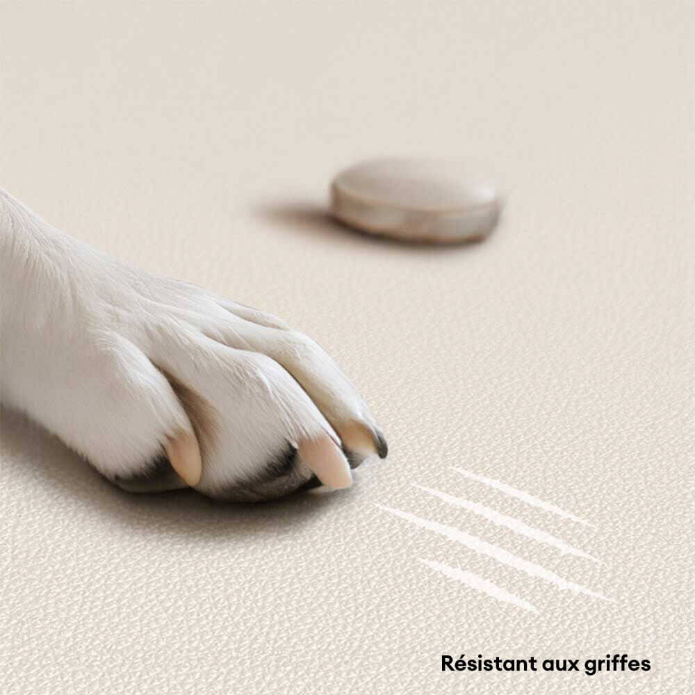 Canapé-lit de luxe en latex naturel pour chien et chat anti-rayures