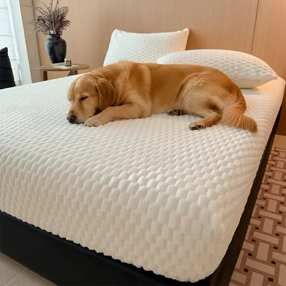 Housse de matelas en peluche douce et conviviale pour la peau, ensemble de draps-housses.