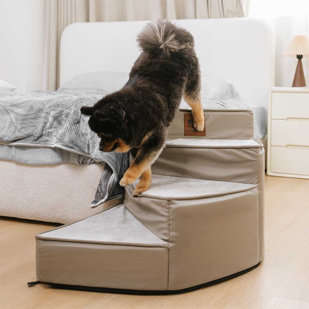 Escaliers pour animaux en similicuir imperméable et amovibles - StepEase