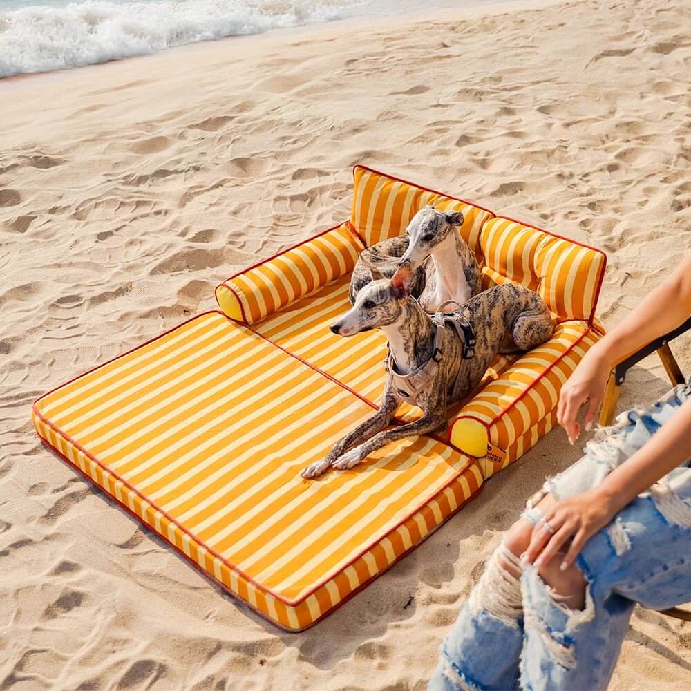 Canapé-lit pliable déperlant pour chien à rayures tendance - Sunny Siesta