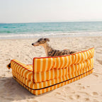 Canapé-lit pliable déperlant pour chien à rayures tendance - Sunny Siesta