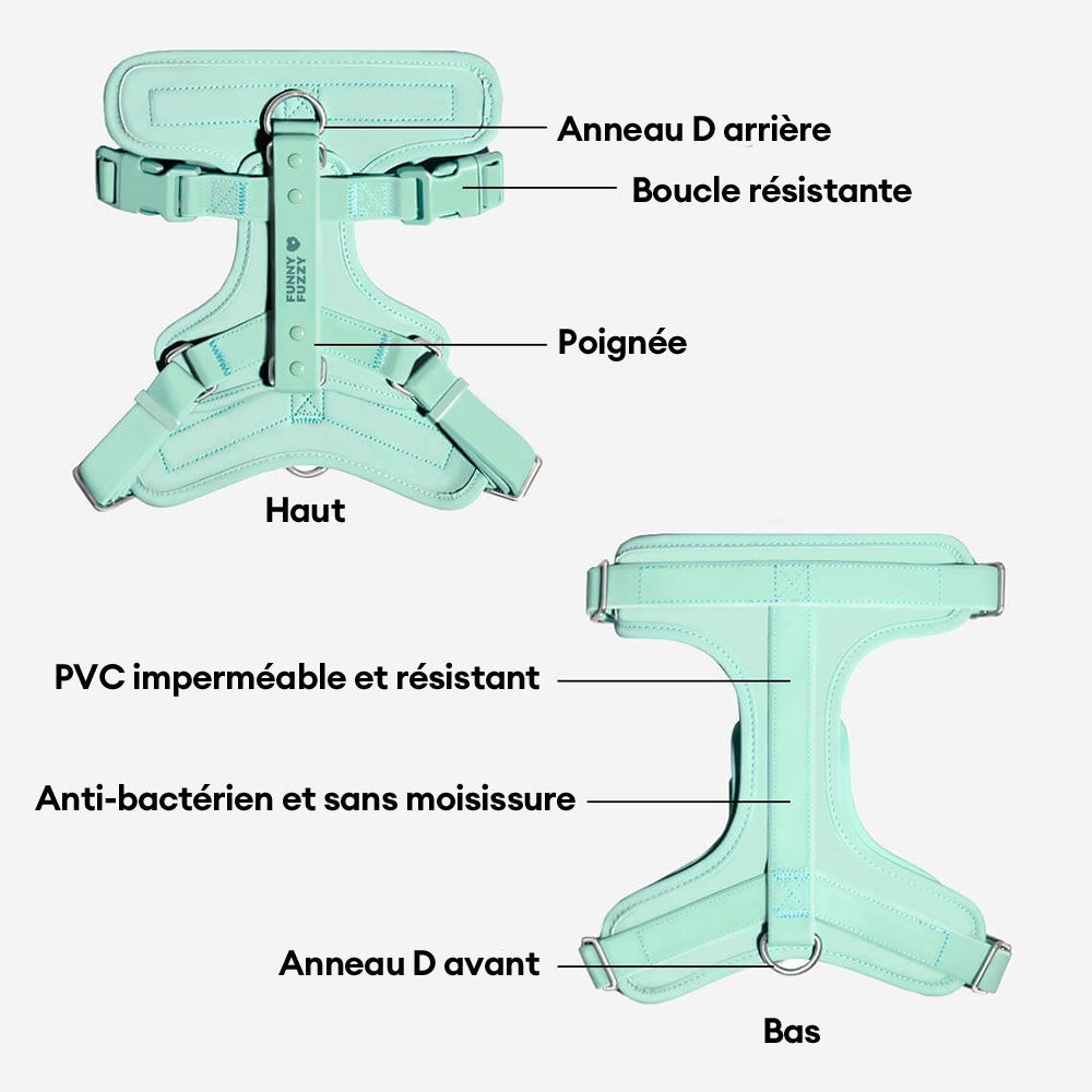 Harnais pour chien Gummy-Exclusif app
