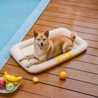 Tapis orthopédique imperméable et résistant aux rayures pour chien motif coloris block - Trek Lounge
