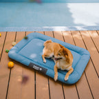 Tapis orthopédique imperméable et résistant aux rayures pour chien motif coloris block - Trek Lounge