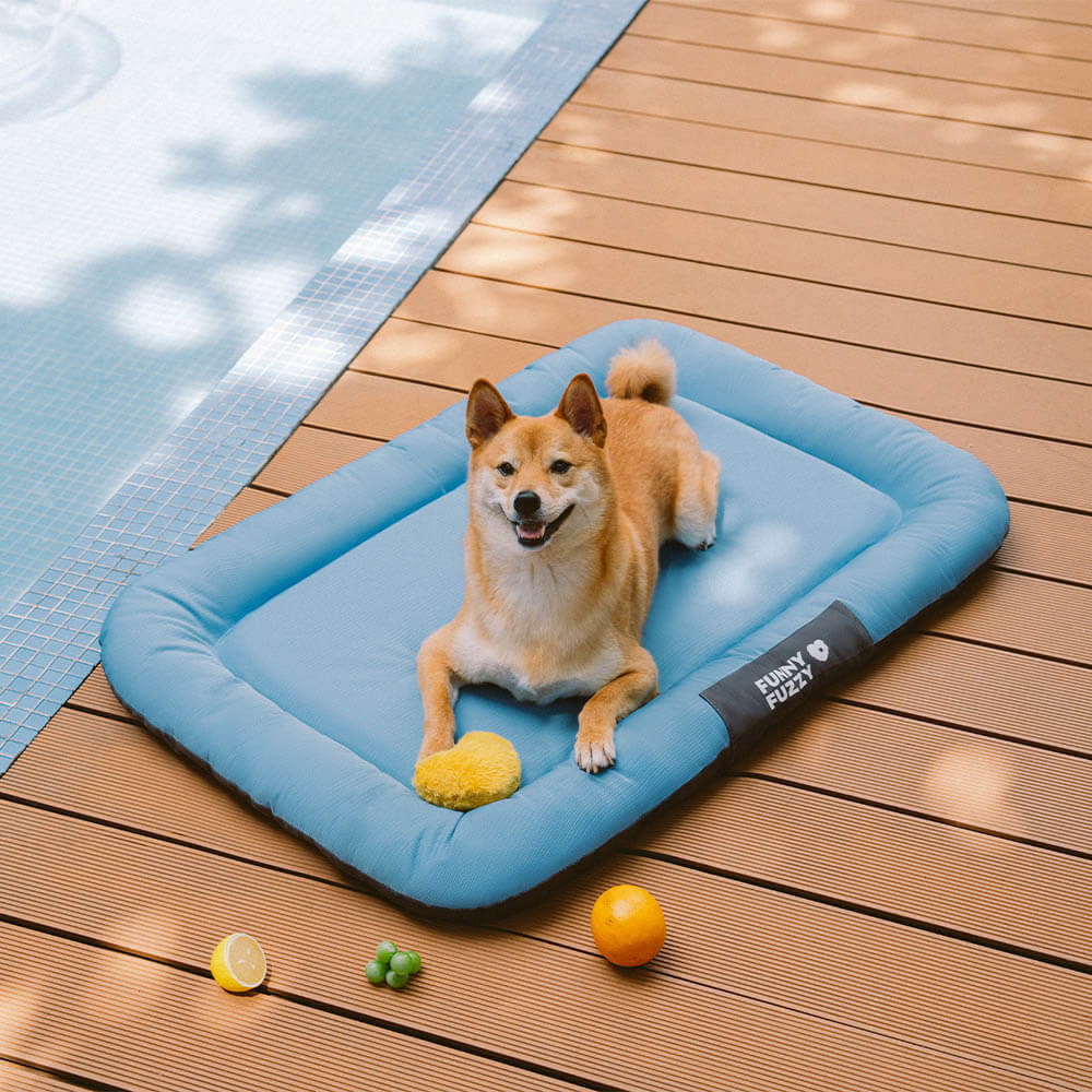Tapis orthopédique imperméable et résistant aux rayures pour chien motif coloris block - Trek Lounge