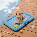 Tapis orthopédique imperméable et résistant aux rayures pour chien motif coloris block - Trek Lounge