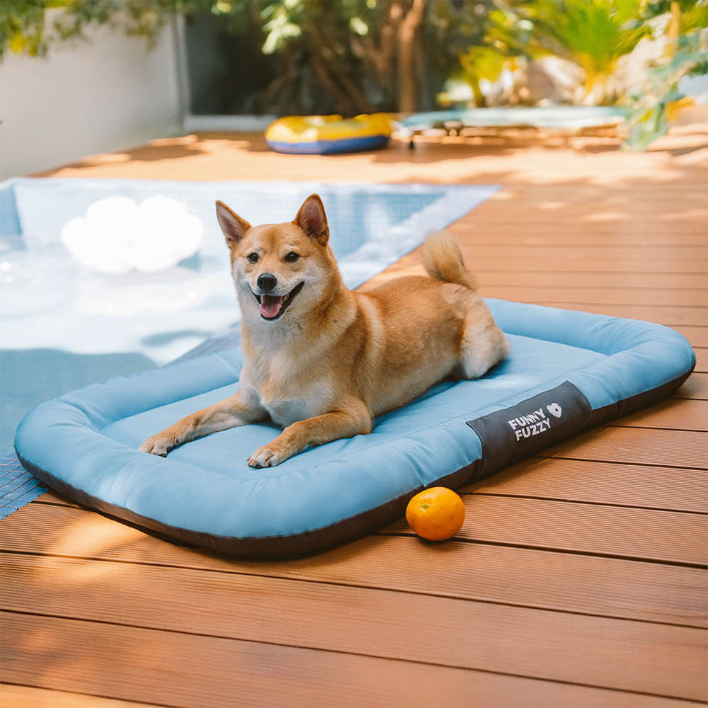 Tapis orthopédique imperméable et résistant aux rayures pour chien motif coloris block - Trek Lounge