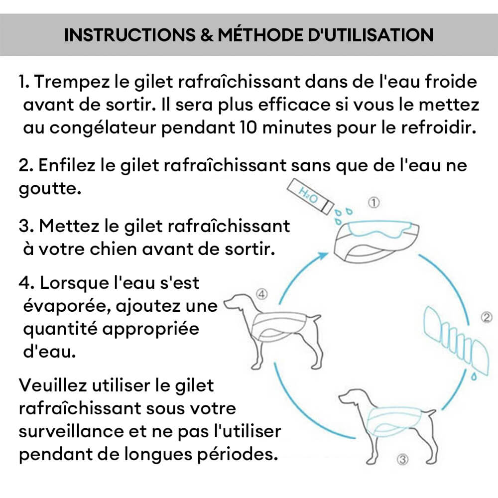 Gilet Respirant Prévention Insolation Gilet Refroidissant Pour Chien Imbibable