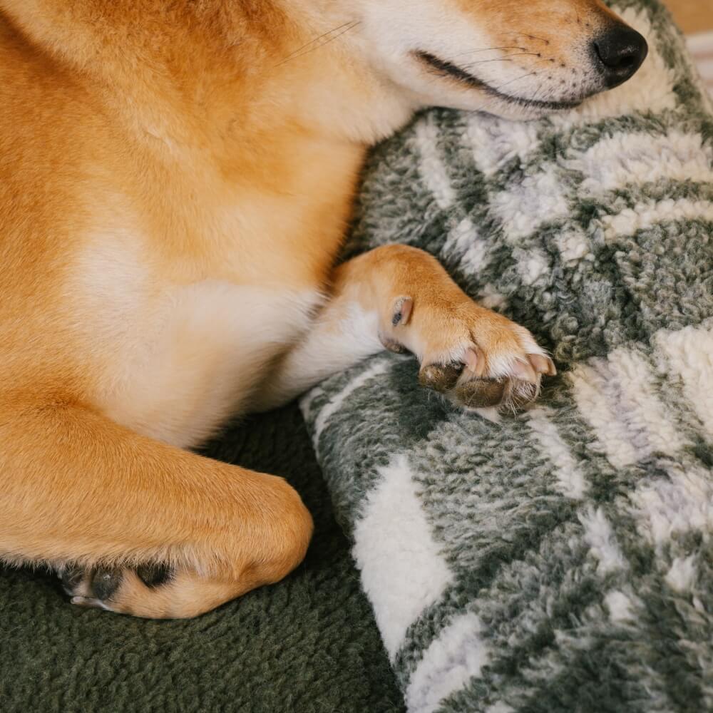 Canapé-lit pour chien et chat apaisant lavable à carreaux vintage