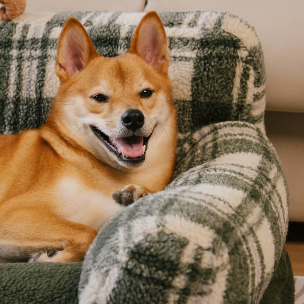 Canapé-lit pour chien et chat apaisant lavable à carreaux vintage